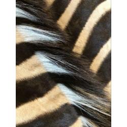 Echte zebrahuid kleed | Cites | Eric Kuster fan? | FYI