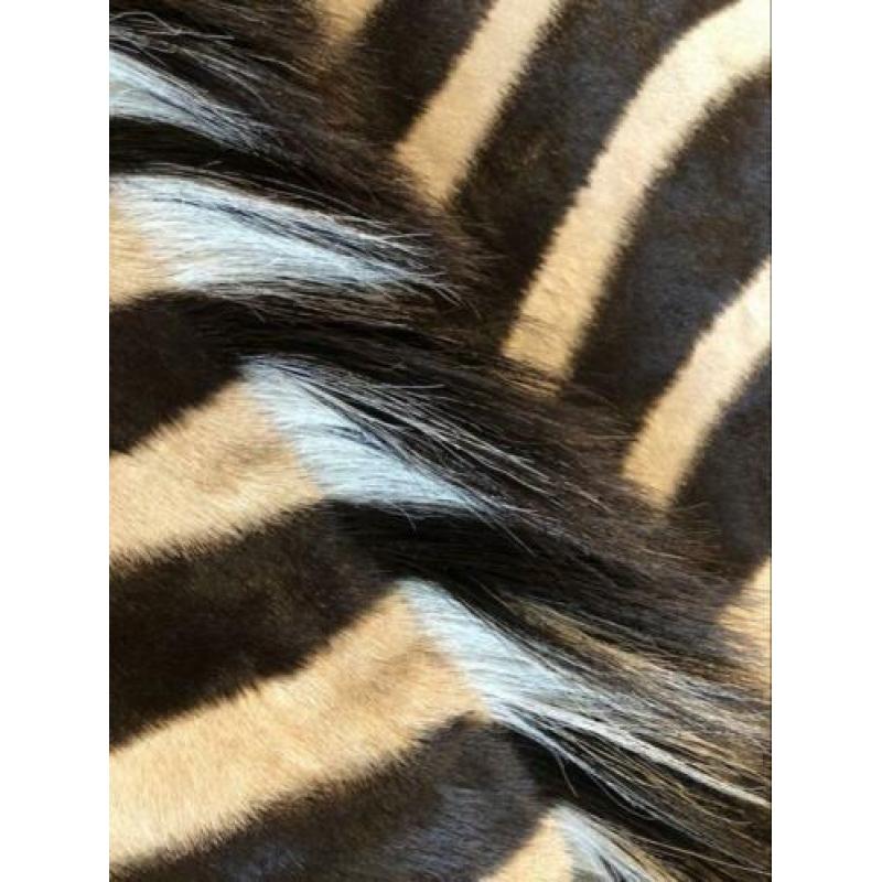 Echte zebrahuid kleed | Cites | Eric Kuster fan? | FYI