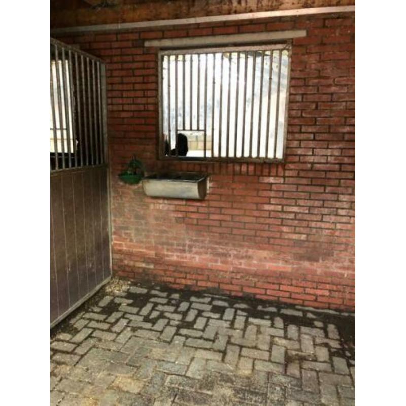 Paarden boxen