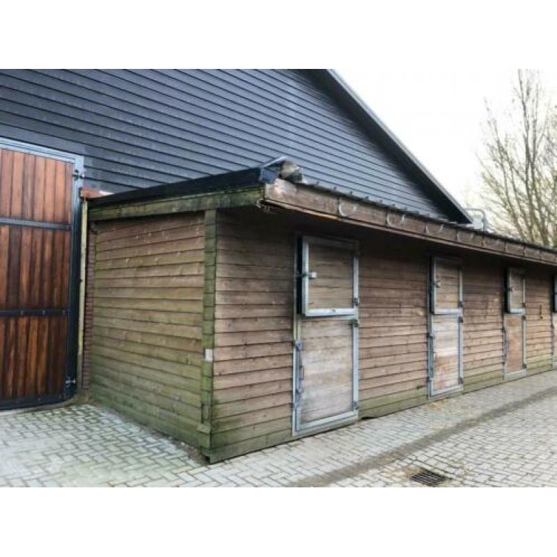 Paarden boxen