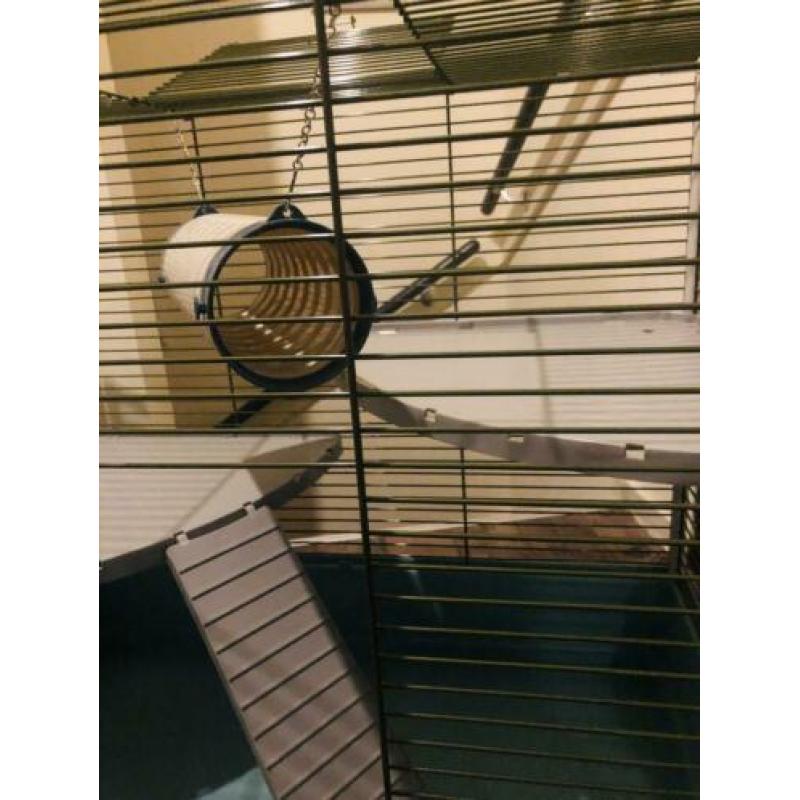 Grote Ratten / fretten kooi