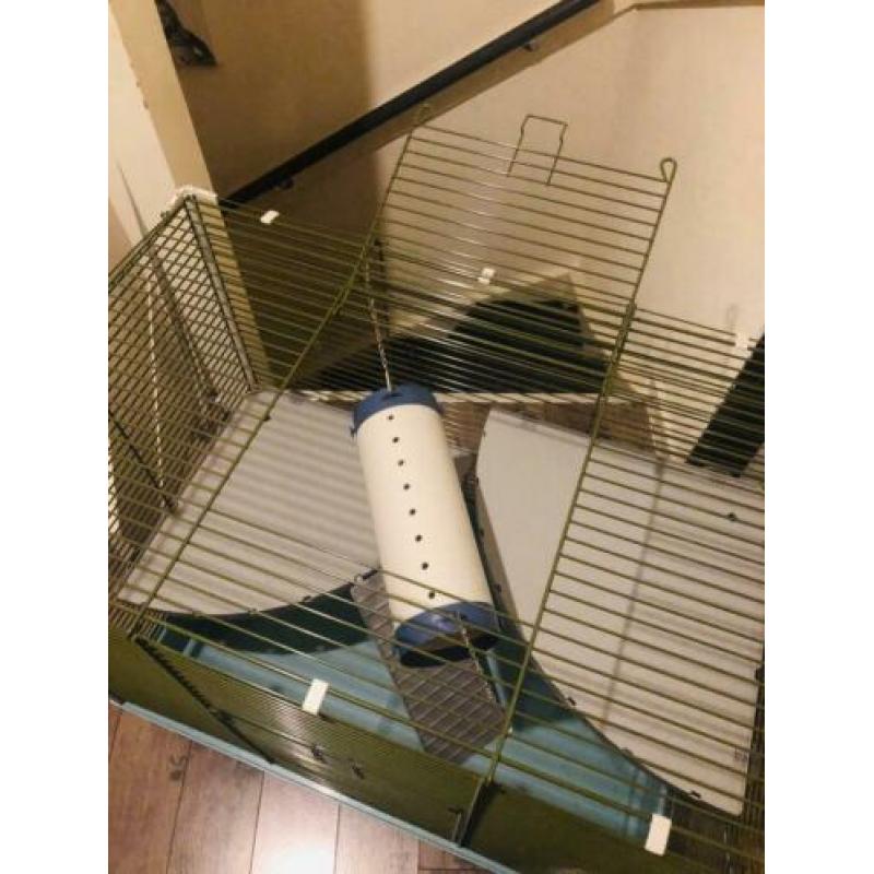 Grote Ratten / fretten kooi