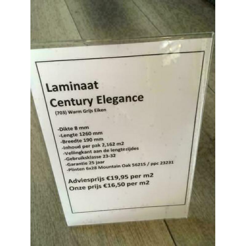 Laminaat Century Elegance 8mm Warm grijs eiken 703