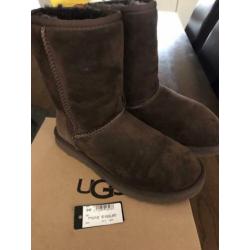 Echte uggs te koop bruin maat 36