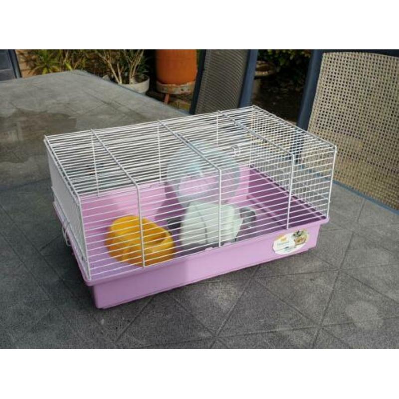 Hamsterkooi rose met wit zgan!!!!!!!!!!!!!!!!