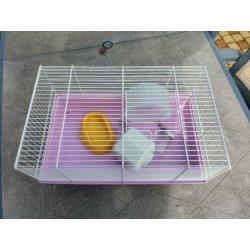 Hamsterkooi rose met wit zgan!!!!!!!!!!!!!!!!
