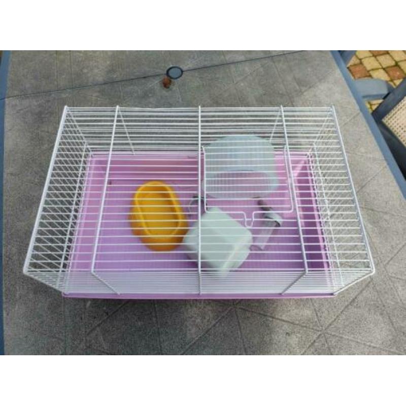 Hamsterkooi rose met wit zgan!!!!!!!!!!!!!!!!