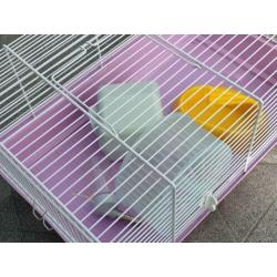 Hamsterkooi rose met wit zgan!!!!!!!!!!!!!!!!