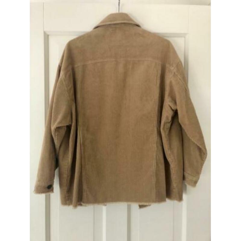 Zara rib jack M beige