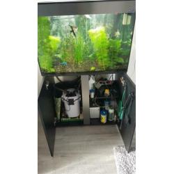 Mooi aquarium met vis en toebehoren.