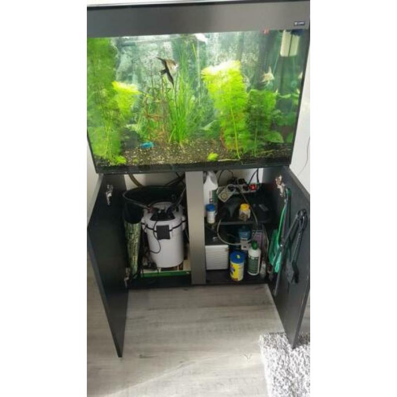 Mooi aquarium met vis en toebehoren.