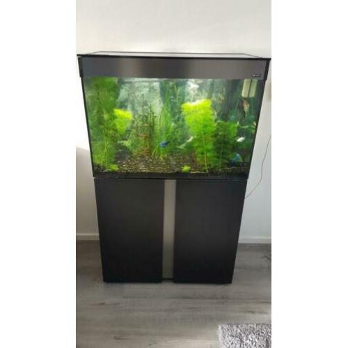 Mooi aquarium met vis en toebehoren.
