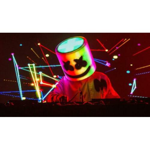 DJ MARSHMELLO LIVE CONCERT Polyester Poster Banner Vlag