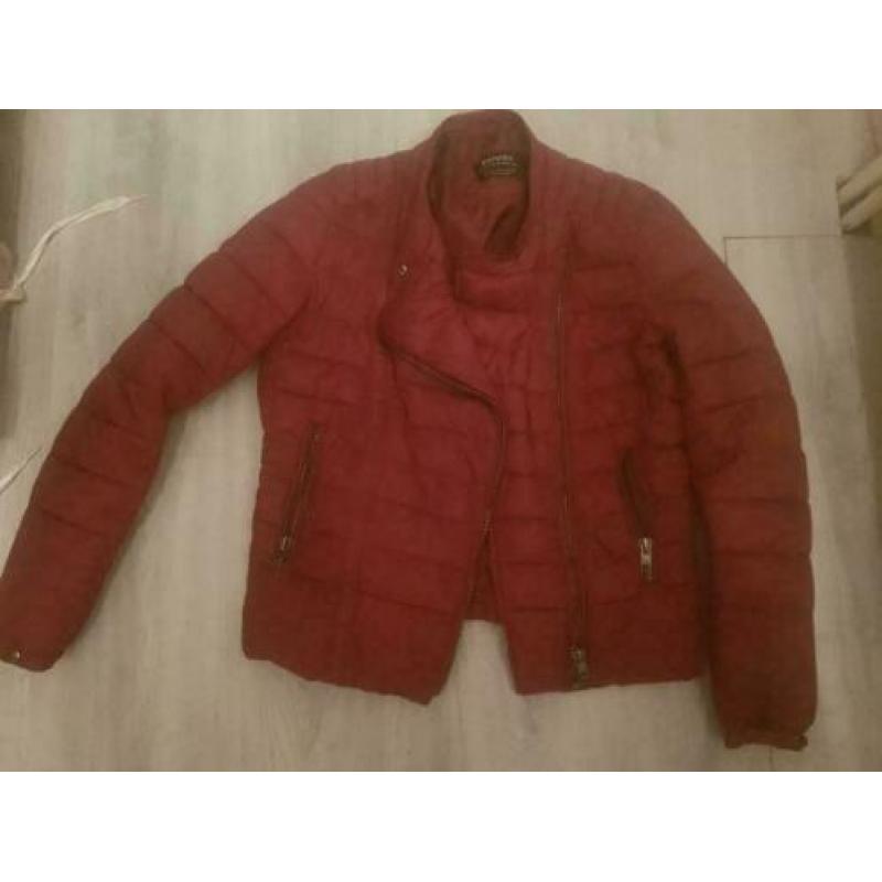 bordeaux rode jas maat M van Bershka