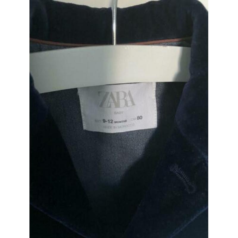 Zara colber velours