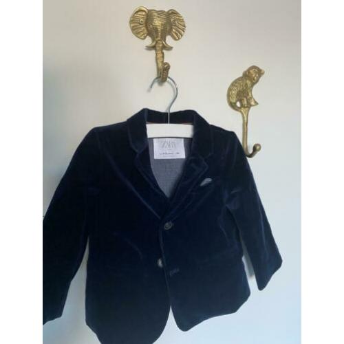 Zara colber velours