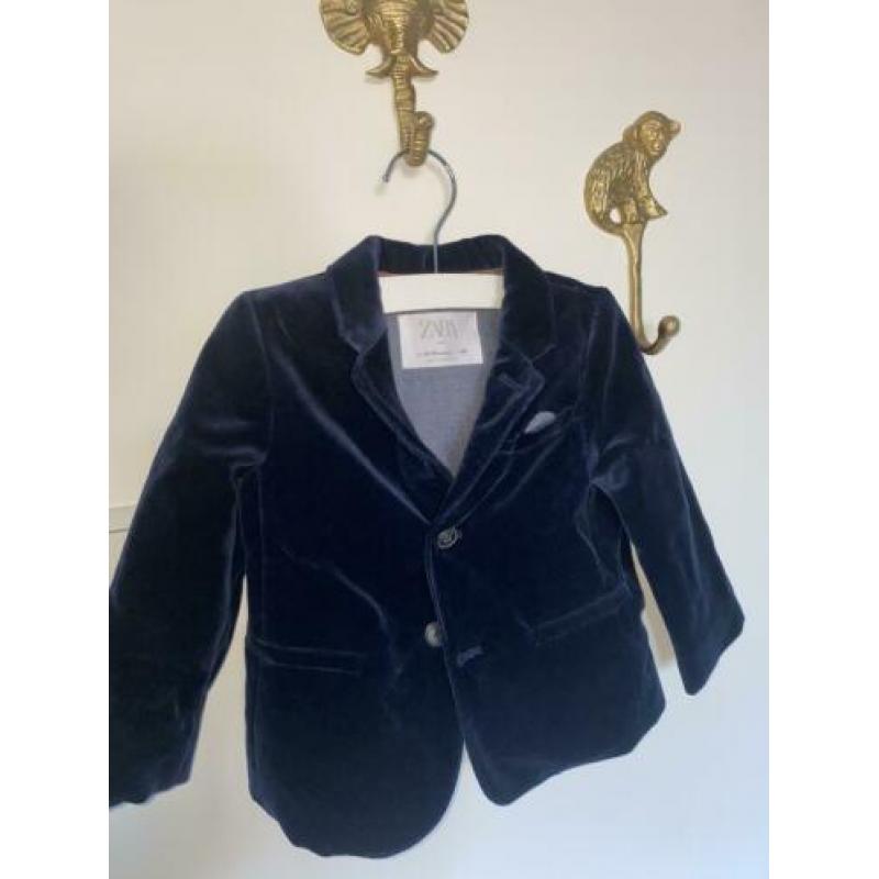 Zara colber velours