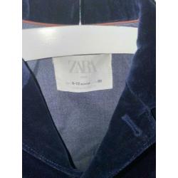 Zara colber velours