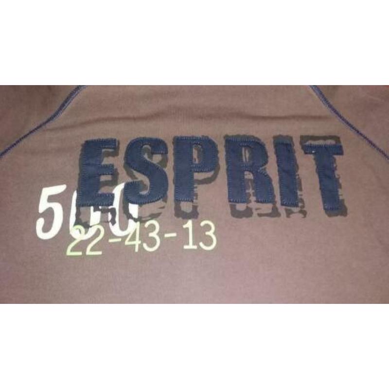 ESPRIT herenvest sweatvest maat L