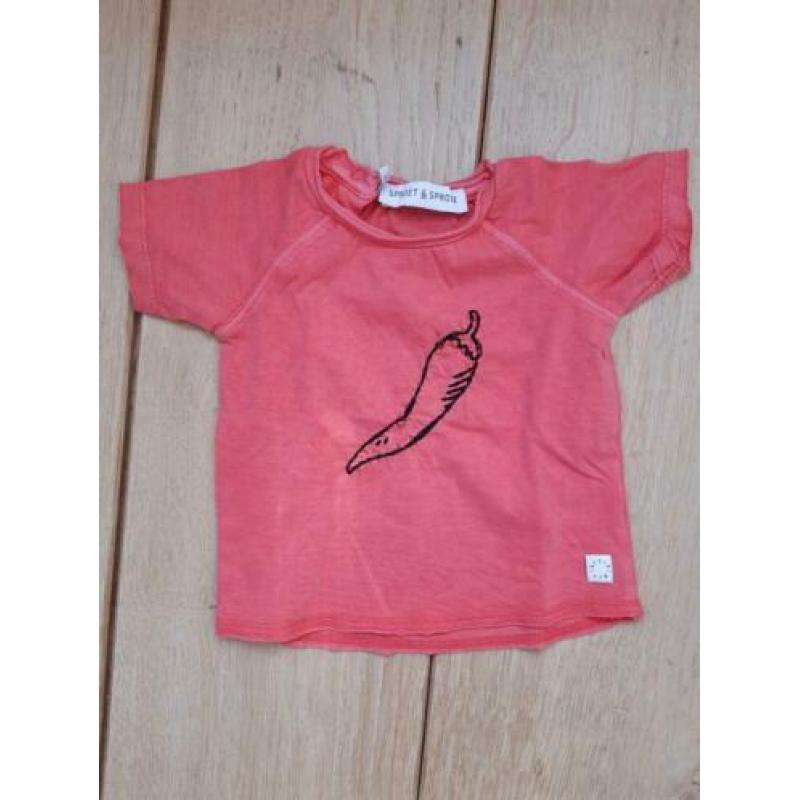 NIEUW Sproet & Sprout shirt 3-6 maand