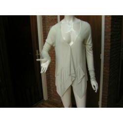 TED BAKER blouse/truitje,Mt 36/38(2) als nieuw