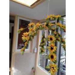 Bloem mobiel