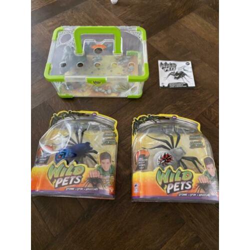 Wild Pets spinnen NIEUW Tarantula terrarium SPIDER SPINNE