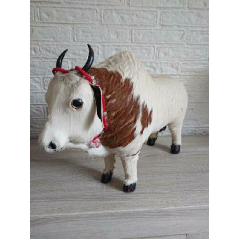 Antieke Flock stier 52 cm ertsgebergte koeienhuid zeldzaam