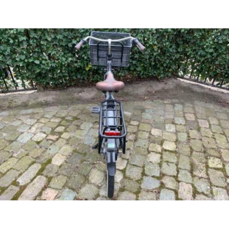 Gazelle Heavy Duty Nl 25 Inch