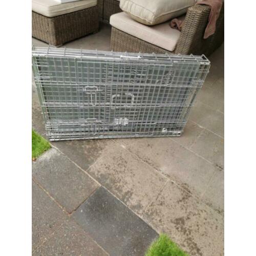 Bench hond