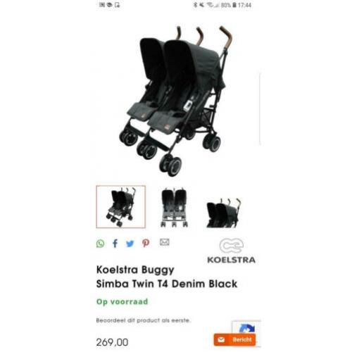 Mooie koelstra t4 duo buggy