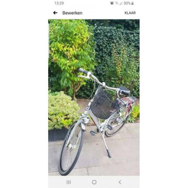 Gazelle Orange Limited Edition