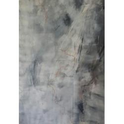 Schilderijen/collages