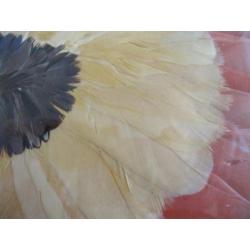 Apart antiek dienblaadje met veren, glas met hout