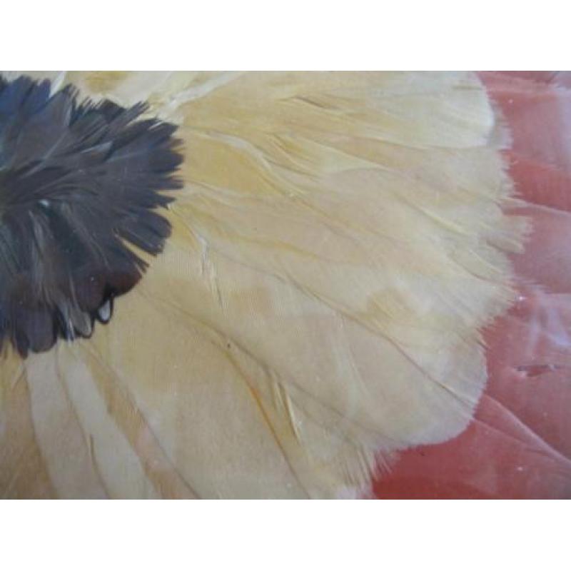 Apart antiek dienblaadje met veren, glas met hout