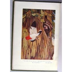 Plantation Stories 1914 Wilkinson - Recensie exemplaar