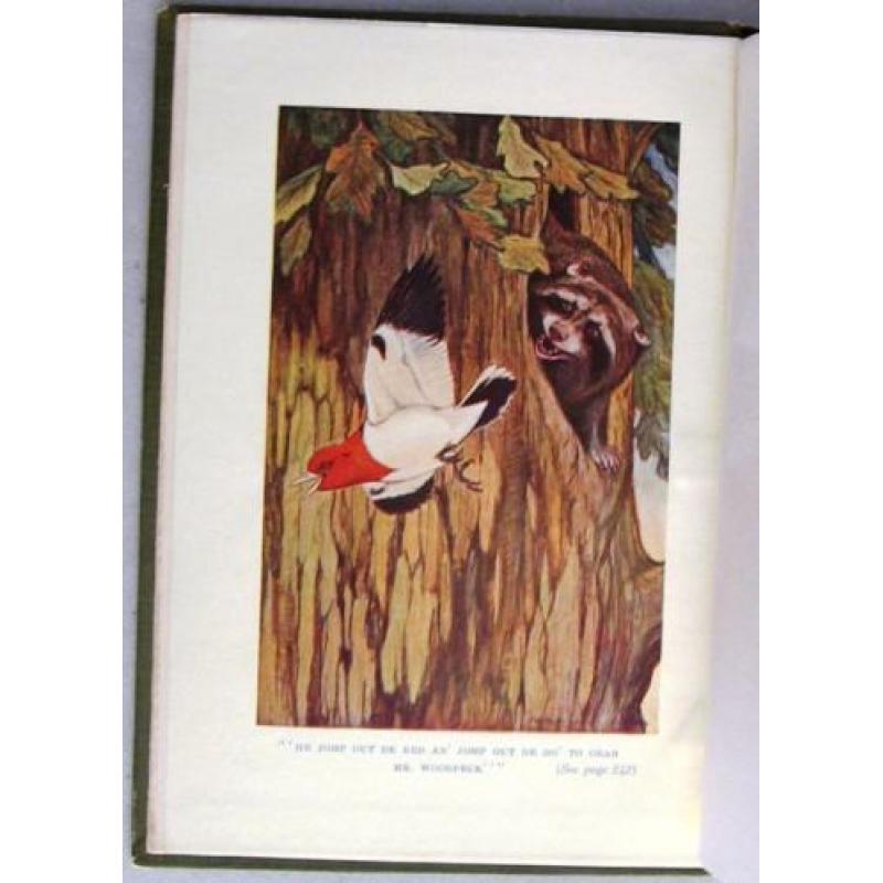 Plantation Stories 1914 Wilkinson - Recensie exemplaar