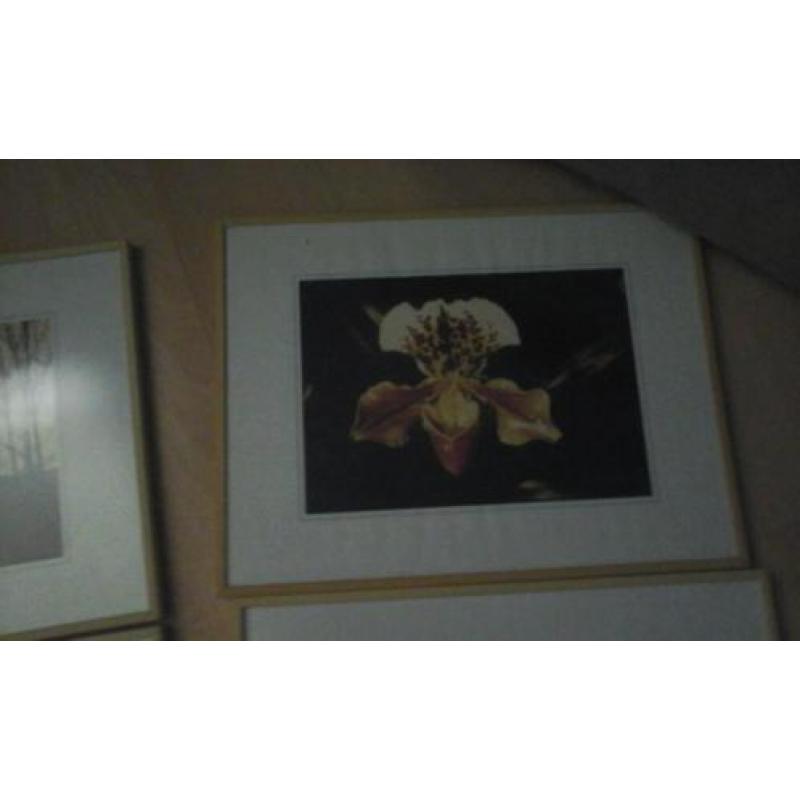 schilderij 4 seizoenen