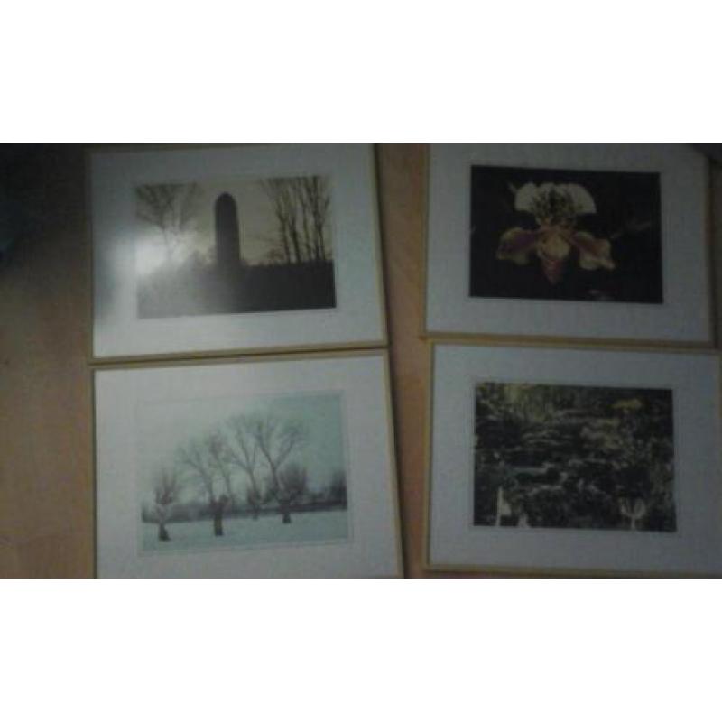 schilderij 4 seizoenen