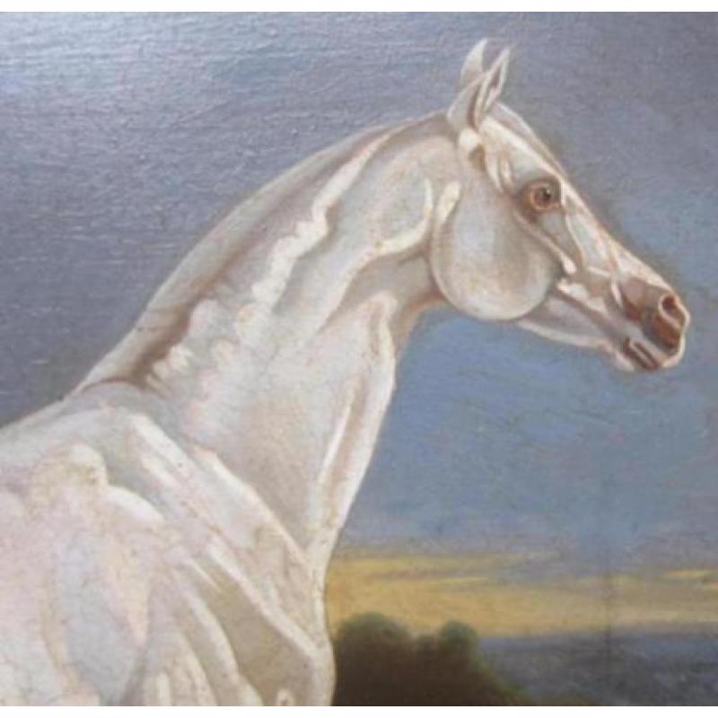 gesigneerd olieverf paard paneeel gedateerd 19e arabier