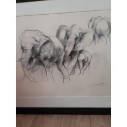 Originele potloodtekening van Ru van Rossem