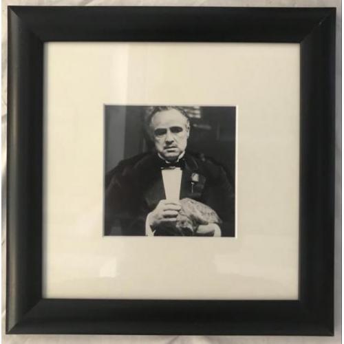 Marlon Brando the Godfather