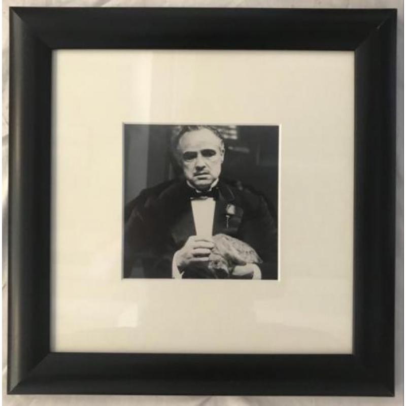Marlon Brando the Godfather