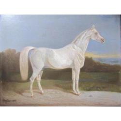 gesigneerd olieverf paard paneeel gedateerd 19e arabier