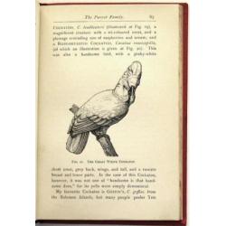 Favourite Foreign Birds for Cages & Aviaries HC WT Greene