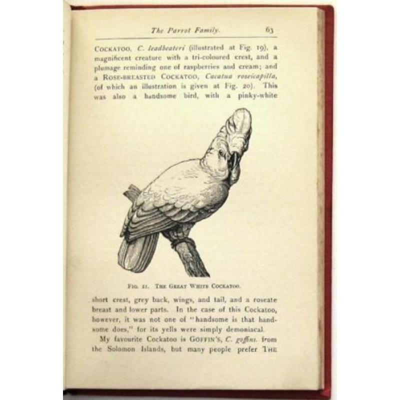Favourite Foreign Birds for Cages & Aviaries HC WT Greene