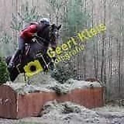 Lieve allround nrps merrie