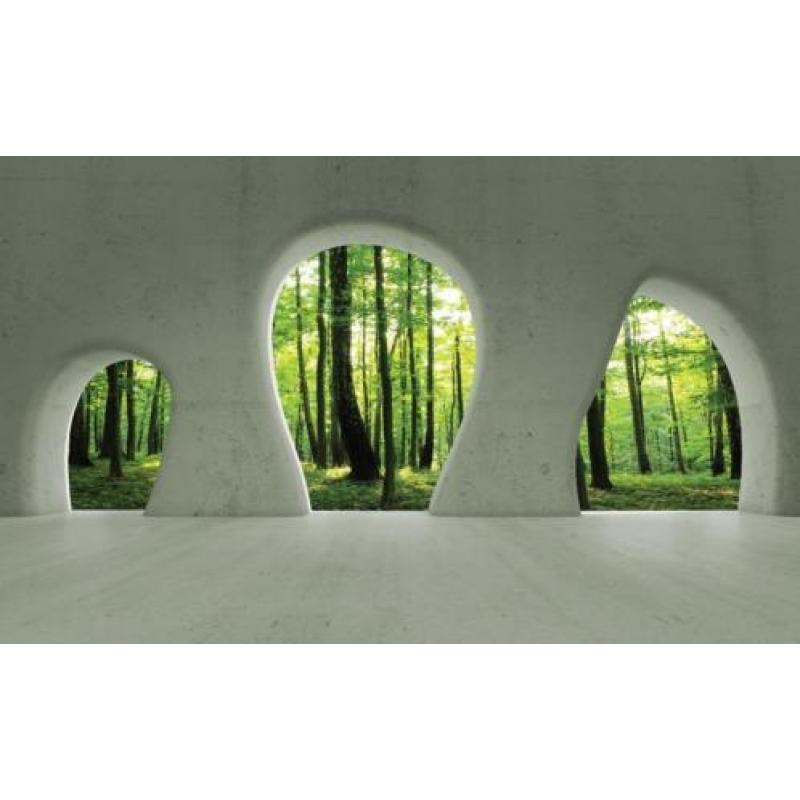 FOTOBEHANG MET DIEPTE, VLIES, 4 BANEN, 416 x 254 cm