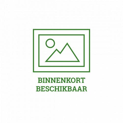 2L Home Tuinstoelkussen Hoge Rug Basic Groen